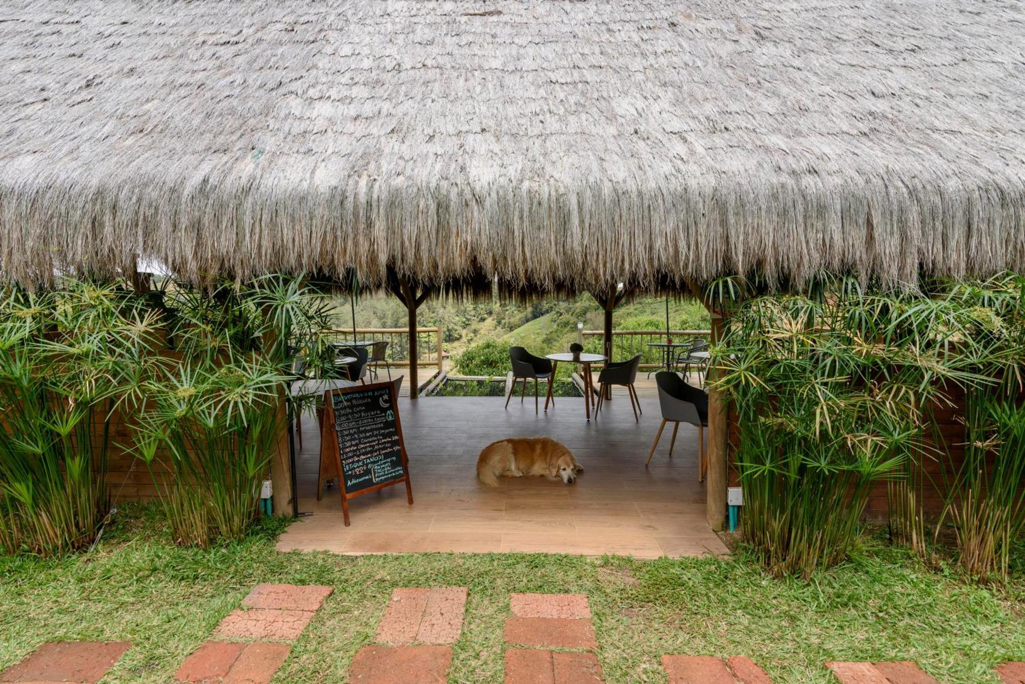 Levit Glamping - Hotel Guatape Penol (Adults Only) Екстер'єр фото